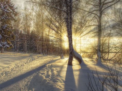 Landscape Nature Winter Road Forest Sun Rays Hdr Snow Sunrise
