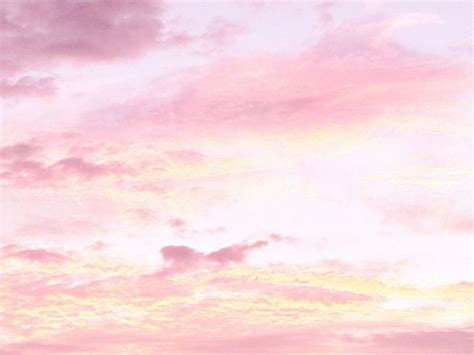 Pink Aesthetic Background Landscape Backlit Bright Pink Sunset Landscape K HD Nature K