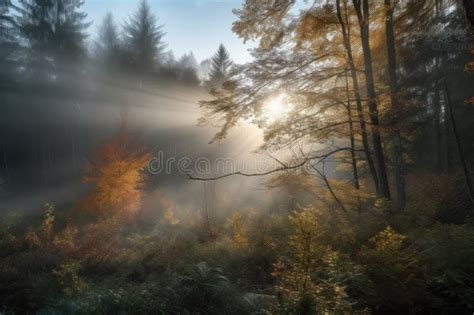 Misty Dawn Over Autumnal Forest With The Sun Peeking Through The