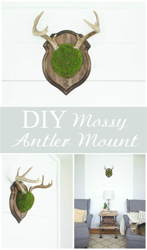 Mountain mike's reproductions skull master antler kit boiling and bleaching is. DIY Mossy Antler Mount - The Golden Sycamore