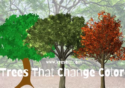 Trees That Change Color Kresent