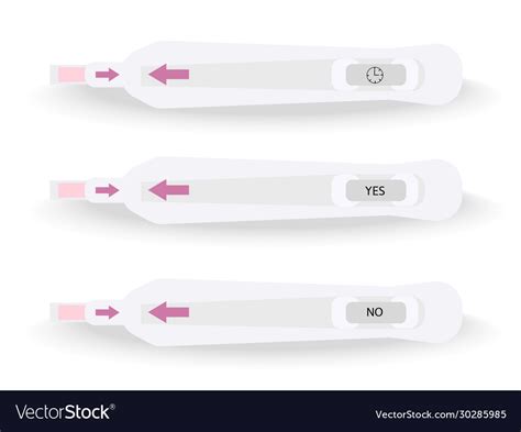 Pregnancy Or Ovulation Positive And Negative Test Vector Image
