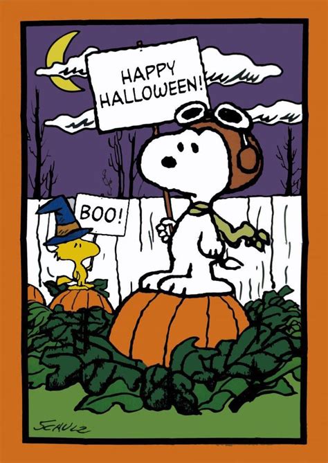 Pin By ~ 🌜 Shannon 🌛~ On Snoopy And The Peanuts Gang Snoopy Halloween
