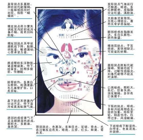 See more of 刮痧精英【礼康】 on facebook. 面部刮痧的好处、手法及注意事项_999穴位网