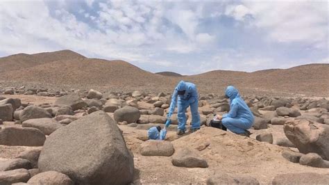 Atacama Desert Could Hold Secrets Of Life On Mars Euronews