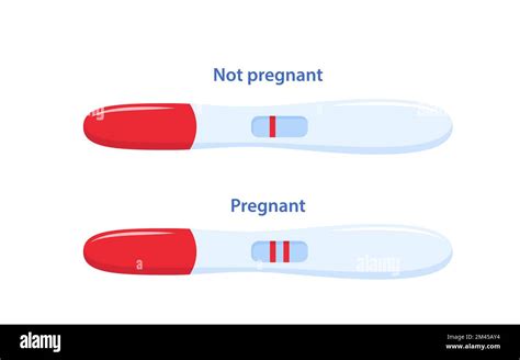 Positive And Negative Results Of Pregnancy Tests Instructions For The