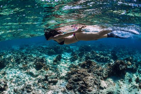 5 Fun Facts About Hawaiis Coral Reefs Sea Maui