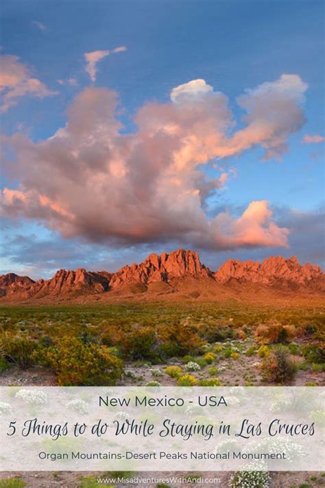 Things To Do While Staying In Las Cruces Travel New Mexico Southwest