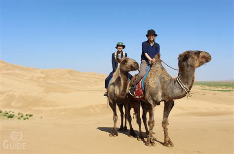 We have found the following website analyses that are related to gobi.com car insurance. Top trip I: SOUTH GOBI :: www.touristinfocenter.mn