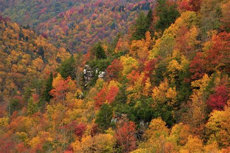 West Virginia Mountain Mama Photograph By Amanda Kiplinger Pixels