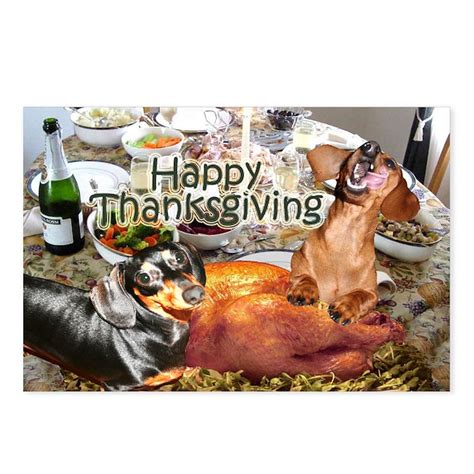 Happy Thanksgiving Dachshund Dogs Postcards Pack By Doggietown