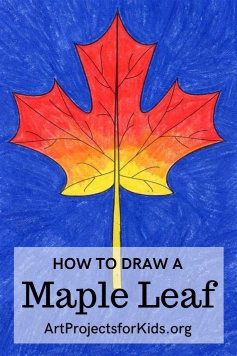At first draw a horizontal line. How to Draw a Maple Leaf · Art Projects for Kids | Maple ...