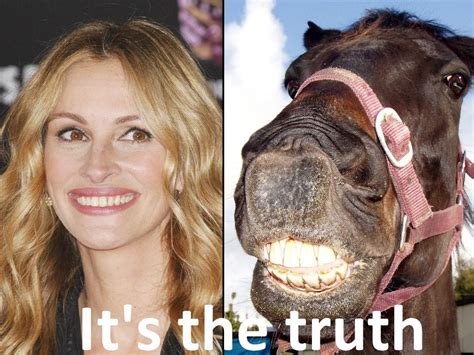 Julia Roberts A Horse Funny