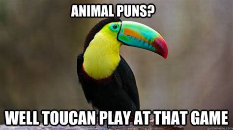 Animal Pun Memes 006 Toucan Play That Game Comics And Memes