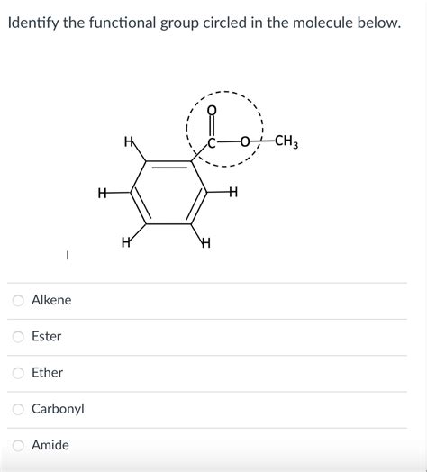 Solved Identify The Functional Group Circled In The Molecule