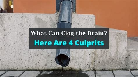 The most embarrassing clog of my life occurred the year we hosted thanksgiving dinner for my entire family. What Can Clog the Drain? Here Are 4 Culprits - The Free Closet