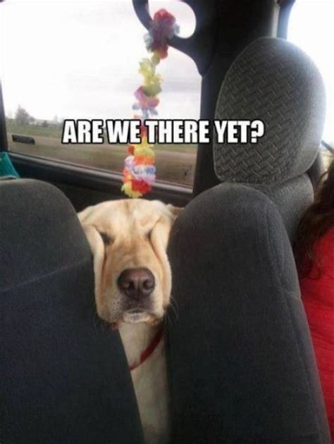 To Make You Laugh Are We There Yet