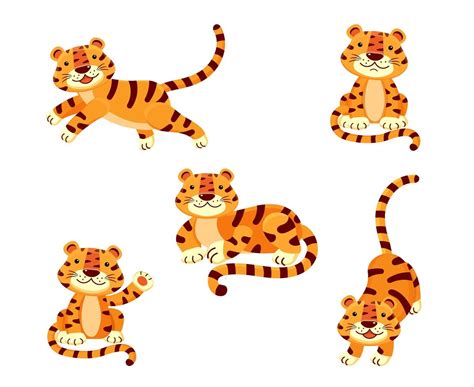 lindo conjunto de ilustrações de um tigre em diferentes poses isolado em um fundo branco