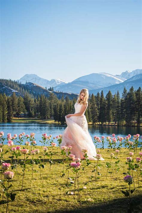 Bride Wandering In A Field Of Planted Pink Roses Set Amidst The