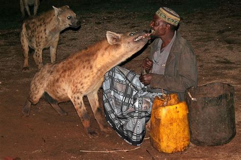 Harar Ancient Ethiopian City That Reveres Magical Hyenas Post Magazine South China
