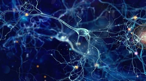 New Post Low Levels Of Specific Microrna Linked To Nerve Cell Damage