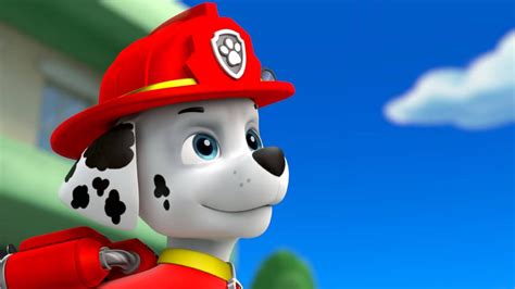 Pin By Purple Hayes On Paw Patrol In 2021 Marshall Paw Patrol Paw