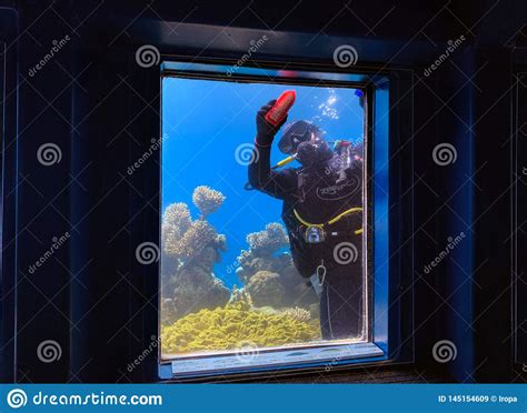 Scuba Diver Cleans The Windows Of The Observation Tower Editorial Stock
