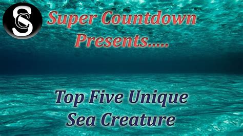 Top Five Unique Sea Creature Youtube