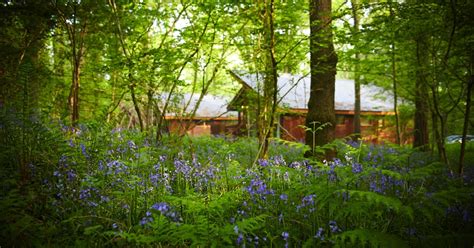 Forest Holidays Forest Of Dean Cabins Self Catering Coleford