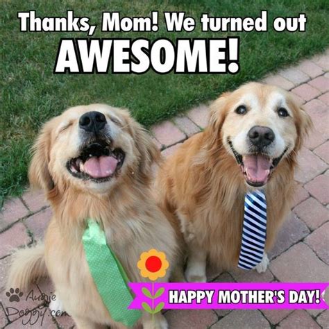 Can dog moms celebrate mother's day. 20 Heart Melting Mother's Day Cards From Your Cat & Dog ...