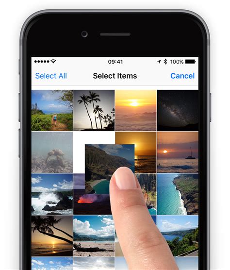 Guide How To Reorder Photos In An Album On The Iphone Ios 9 Tapsmart