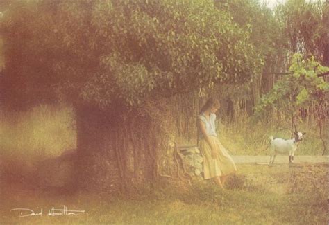 30 Dreamy Photographs Of Young Women Taken By David Hamilton From The 1970s ~ Vintage Everyday