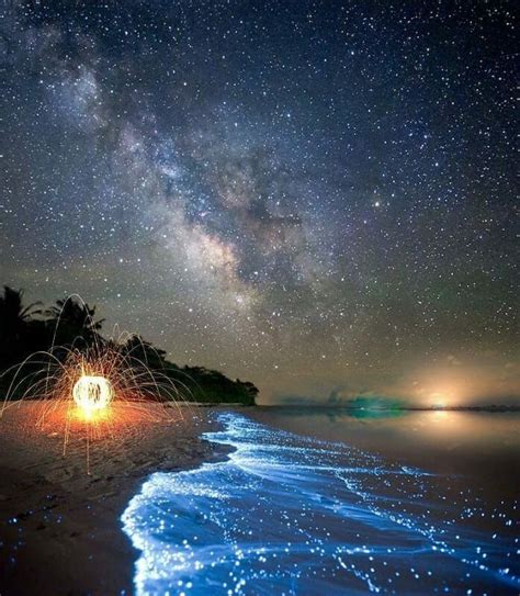 Maldives Glowing Beach Maldive Islands Resort