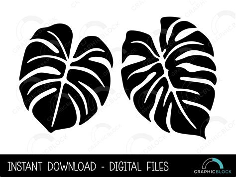 Monstera Leaf Set Svg 10 Bundle Silhouette Png Tropical Etsy Australia