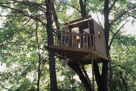 How To Build The Best Treehouse Daily Parent