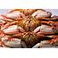 Dungeness Crab Report For Better Or Worse