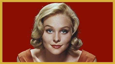 Diane Mcbain Sexy Rare Photos And Unknown Trivia Facts Surfside 6