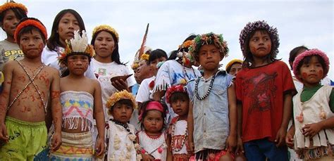 Sobre Os índios Guarani Kaiowá Entenda A Situação E Saiba Como Preservar Esta Cultura