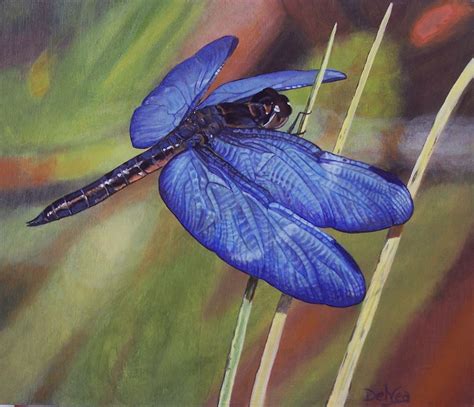 Pin By Delvea Tuff On Delveas Artwork Blue Dragonfly Dragonfly Artwork