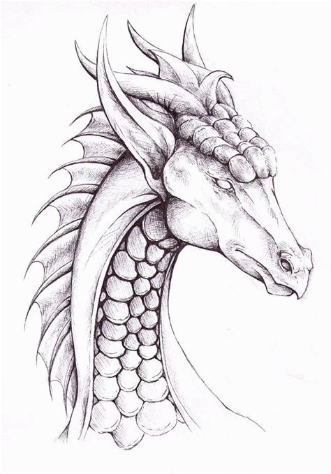 Dragon Dibujo A Lapiz Facil Para Niños Unsplassh