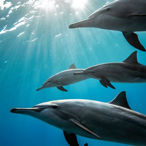 'Pic of the Day': A Month in Pictures. PhotoVogue's December 2023