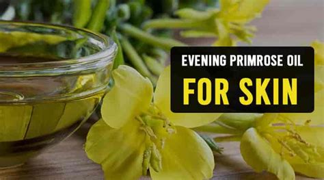 Evening primrose oil (oenothera biennis, lat.), also sometimes described as epo, comes from the seed of evening primrose plants and can be utilized both topically and ingested orally depending on the outcomes you wish to obtain from adding the oil into your regimen.there are a variety of benefits to utilizing evening primrose, but the most frequently recognized include women's hormone health. Benefits of Evening Primrose Oil for Skin | HealthtoStyle