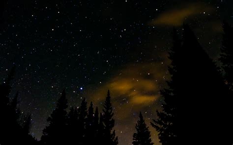 Download Wallpaper 3840x2400 Spruce Stars Starry Sky Night 4k Ultra