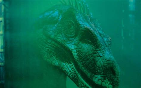 Screen Used Velociraptor Insert Head From Jurassic Park Iii