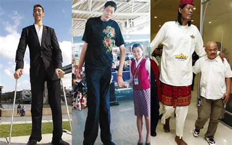 Top 10 Tallest Man Tallest Man In The World