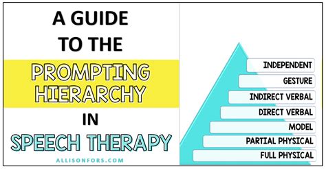 Prompting Hierarchy Infographic Allison Fors