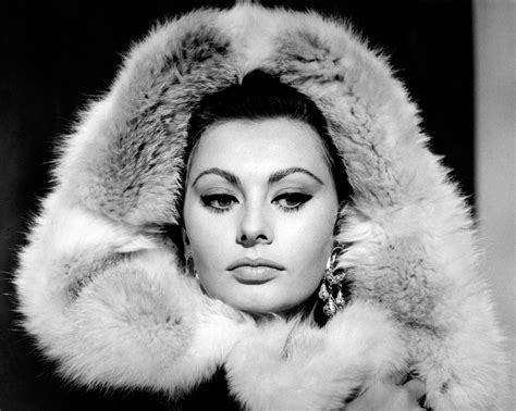 Sophia Loren In Rome 1964 Sofia Loren Hollywood