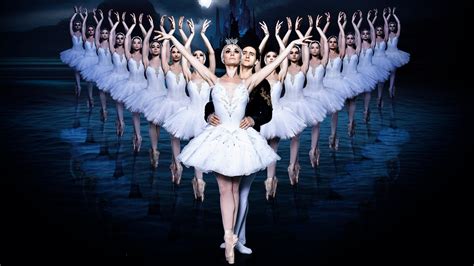 Wiseguys Presale Passwords Russian Ballet Theatre Presents Swan Lakes