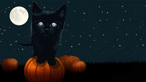 Download Pumpkin Full Moon Cat Holiday Halloween Hd Wallpaper