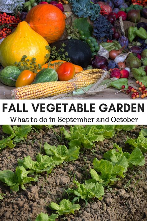 Fall Vegetable Garden Acre Life What To Do In Your Garden In